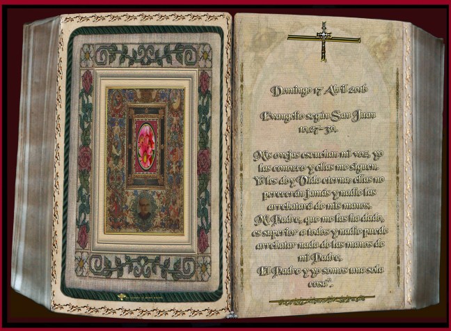  José Antonio Cotallo López