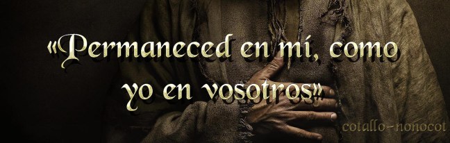  José Antonio Cotallo López