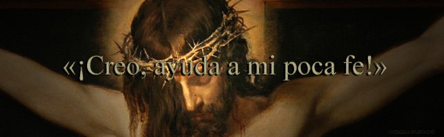  José Antonio Cotallo López