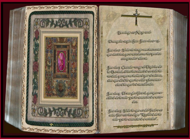  José Antonio Cotallo López