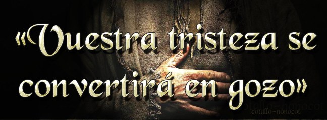  José Antonio Cotallo López