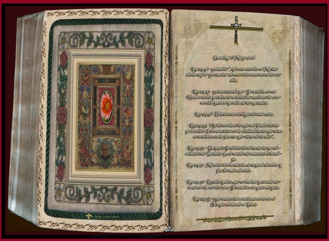  José Antonio Cotallo López