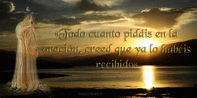  José Antonio Cotallo López