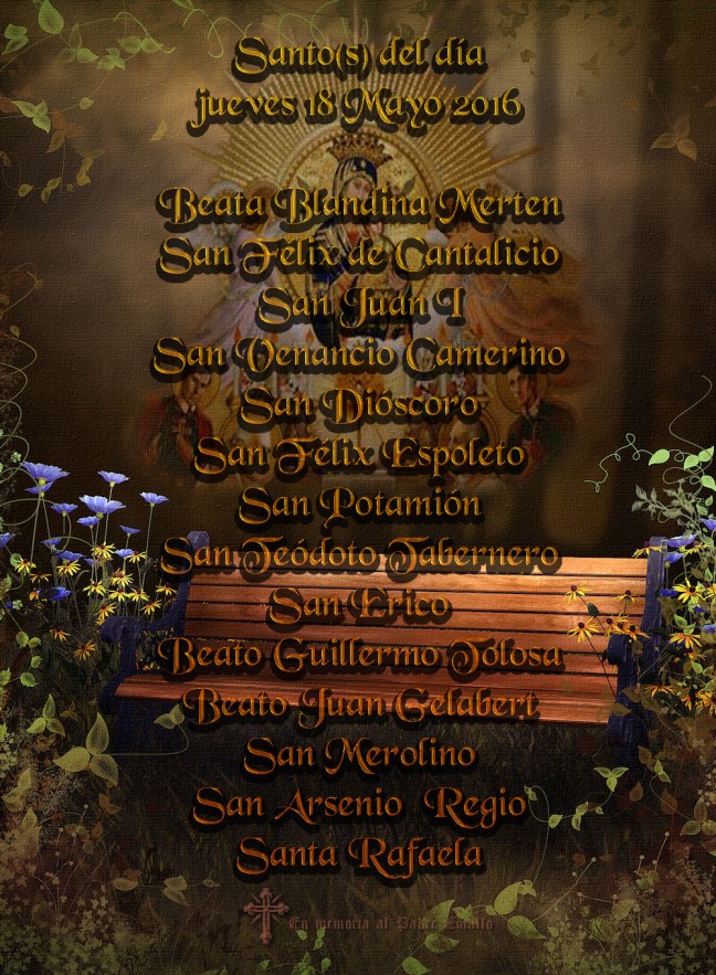  José Antonio Cotallo López