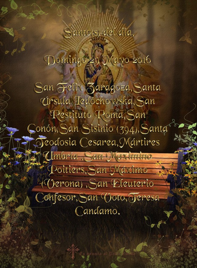  José Antonio Cotallo López