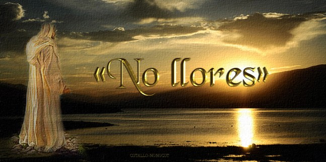  José Antonio Cotallo López