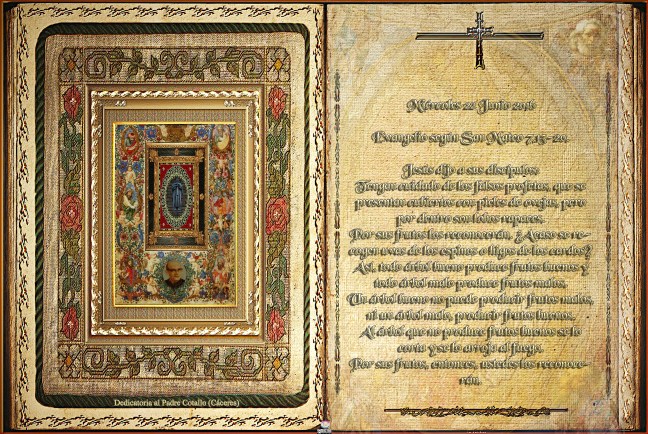  José Antonio Cotallo López