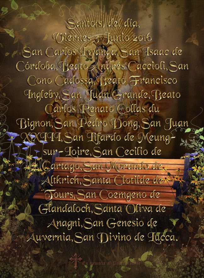    José Antonio Cotallo López