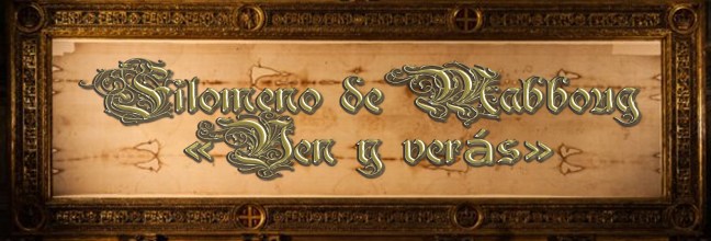 †José Antonio Cotallo López©