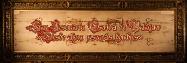 †José Antonio Cotallo López©