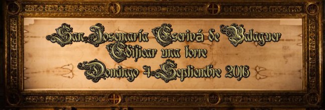 †José Antonio Cotallo López©