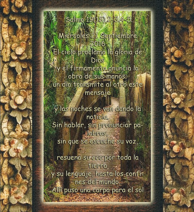  †José Antonio Cotallo López©