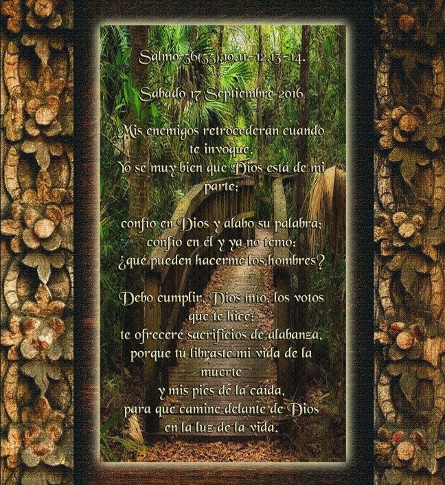  †José Antonio Cotallo López©